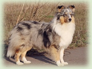 clarabella