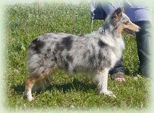 eleanor
