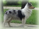 obladi_oblada