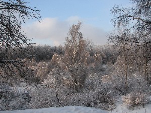 peizaji