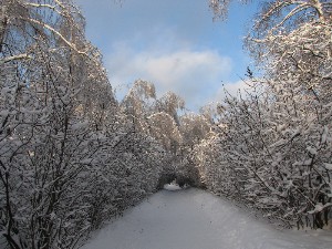 peizaji