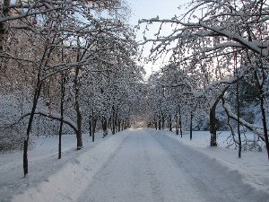 peizaji