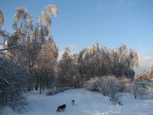 peizaji