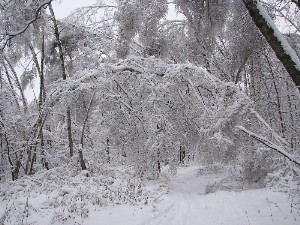peizaji