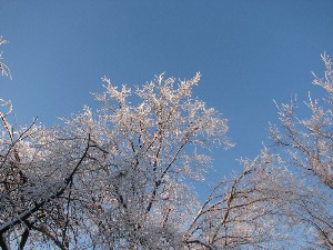peizaji