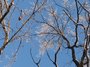 peizaji