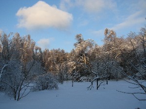 peizaji