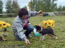 puppies