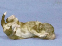 puppies