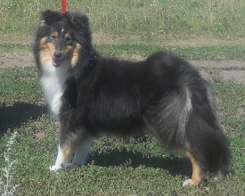 Rozalinda